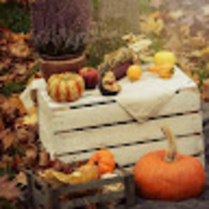 Meet your Posher, Jaison